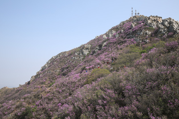 �������ǲ�(�й���)�ٷ���վ