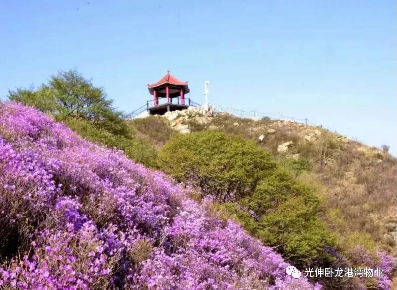 �������ǲ�(�й���)�ٷ���վ