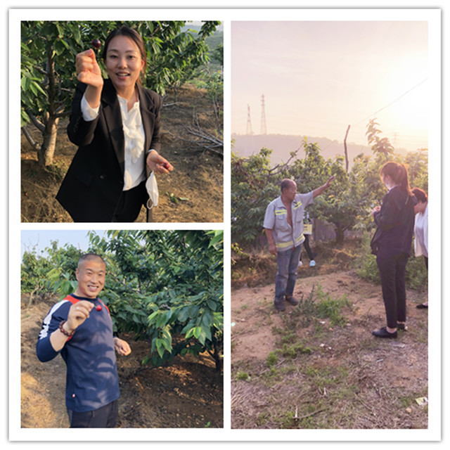 �������ǲ�(�й���)�ٷ���վ