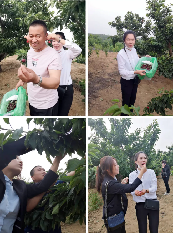 �������ǲ�(�й���)�ٷ���վ