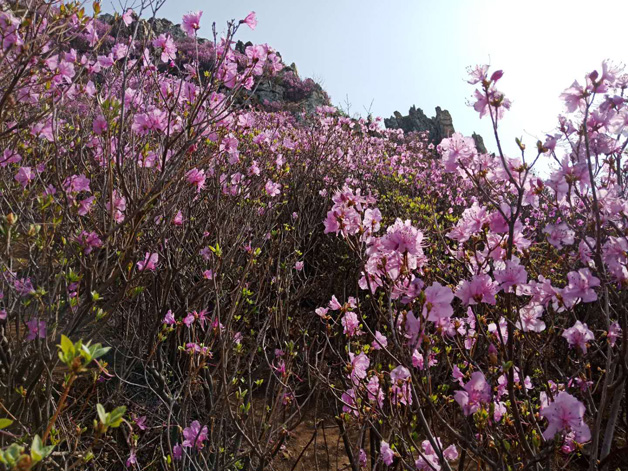 �������ǲ�(�й���)�ٷ���վ