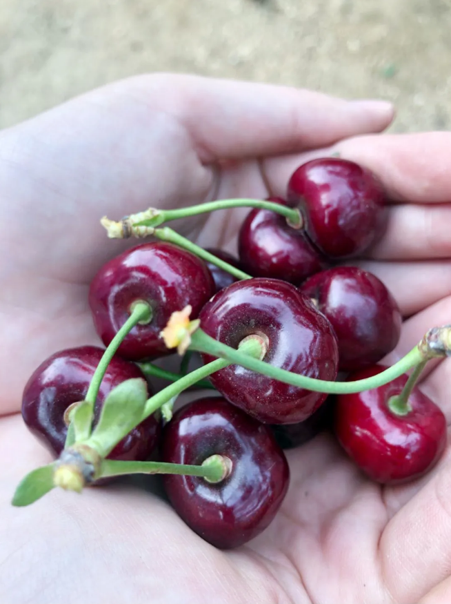 �������ǲ�(�й���)�ٷ���վ