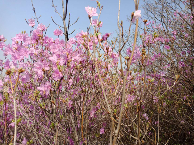 �������ǲ�(�й���)�ٷ���վ